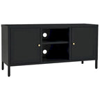 TV Cabinet Black 41.3x13.7x20.4 Steel and Glass