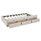 Upholstered Daybed with Twin Size Trundle and Drawers