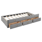 Upholstered Daybed with Twin Size Trundle and Drawers